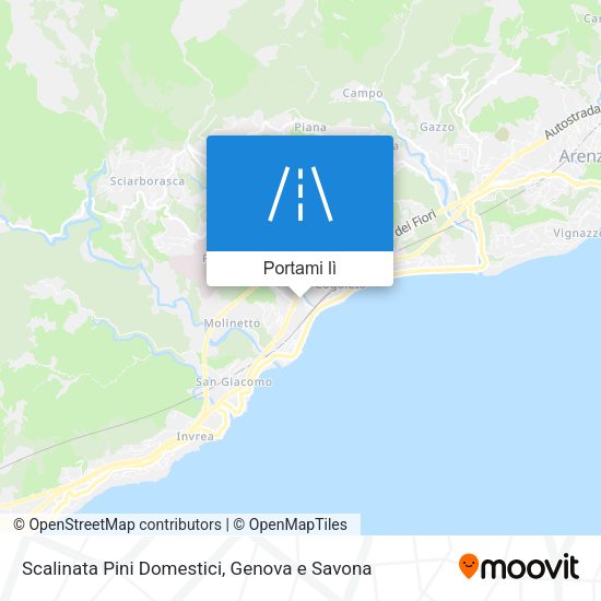 Mappa Scalinata Pini Domestici