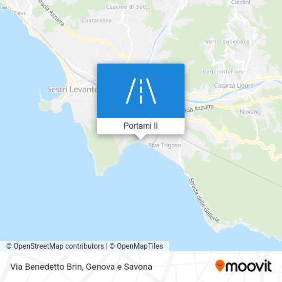 Mappa Via Benedetto Brin