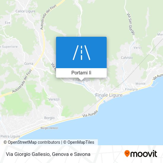Mappa Via Giorgio Gallesio