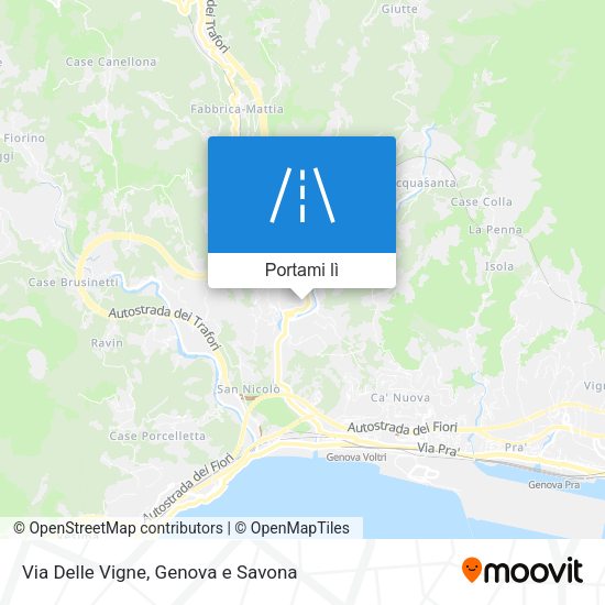 Mappa Via Delle Vigne