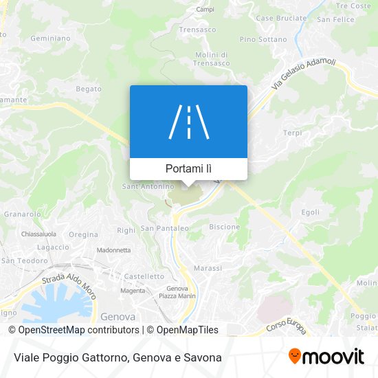 Mappa Viale Poggio Gattorno