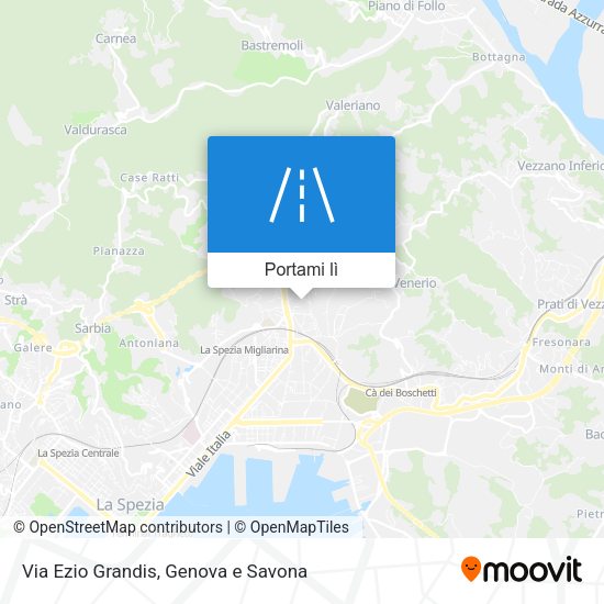 Mappa Via Ezio Grandis