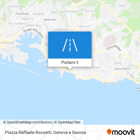 Mappa Piazza Raffaele Rossetti
