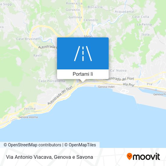 Mappa Via Antonio Viacava