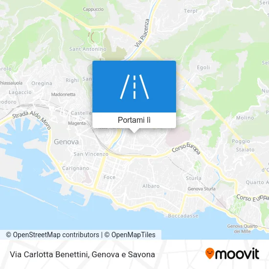 Mappa Via Carlotta Benettini