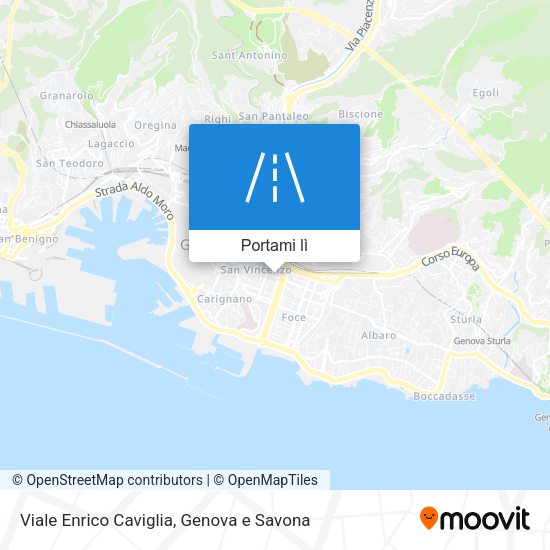 Mappa Viale Enrico Caviglia
