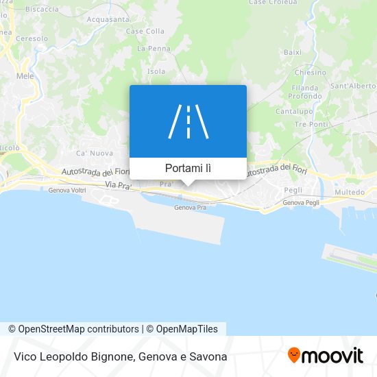 Mappa Vico Leopoldo Bignone