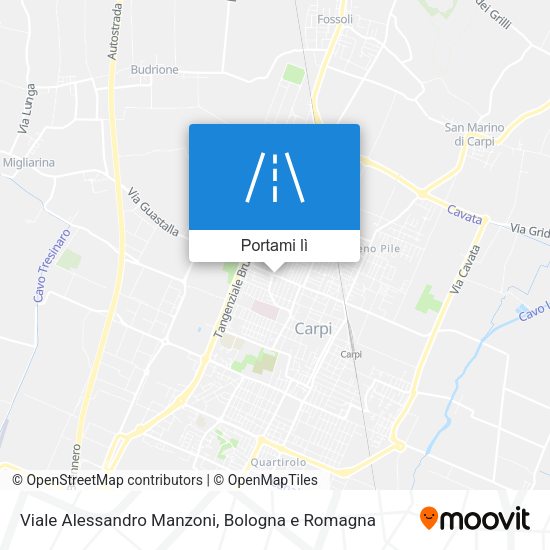 Mappa Viale Alessandro Manzoni