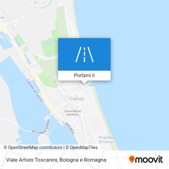 Mappa Viale Arturo Toscanini