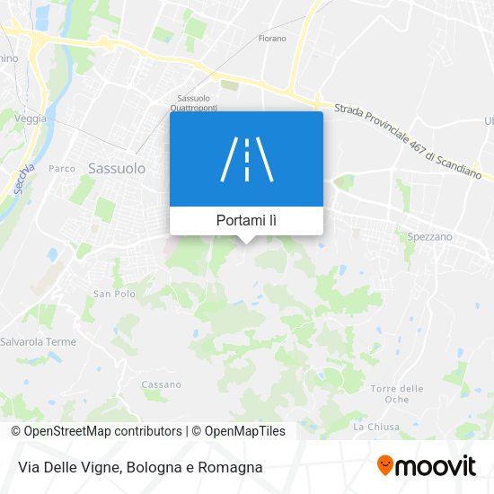 Mappa Via Delle Vigne