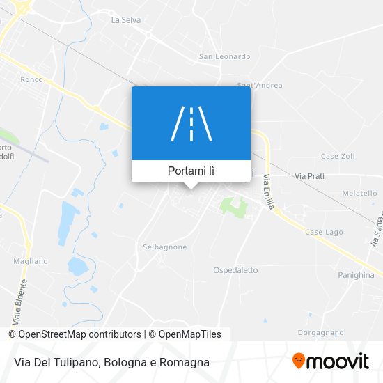 Mappa Via Del Tulipano