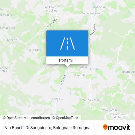 Mappa Via Boschi Di Sanguineto