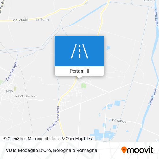 Mappa Viale Medaglie D'Oro