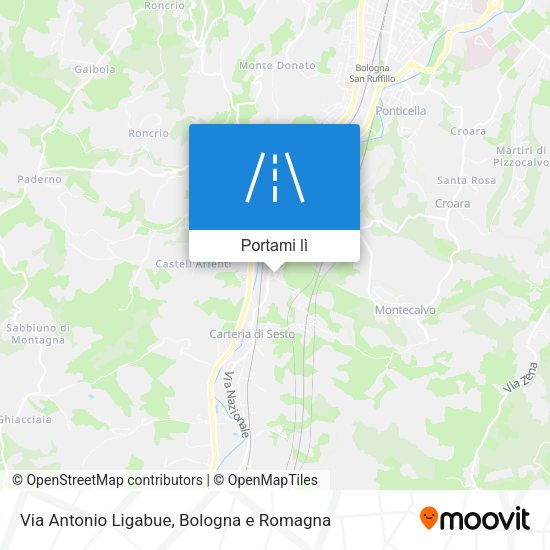 Mappa Via Antonio Ligabue