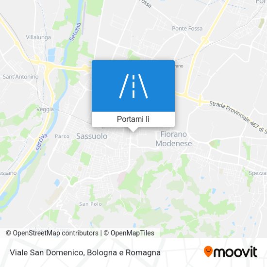 Mappa Viale San Domenico