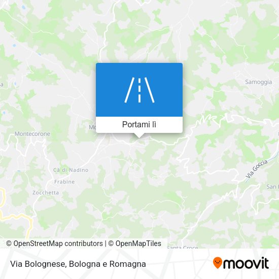 Mappa Via Bolognese
