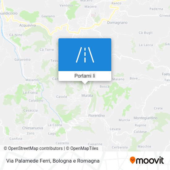 Mappa Via Palamede Ferri