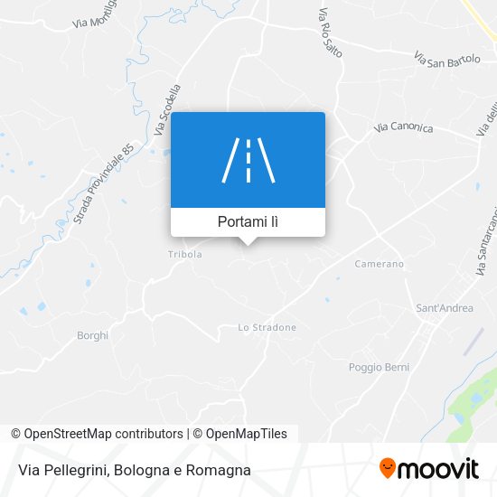 Mappa Via Pellegrini