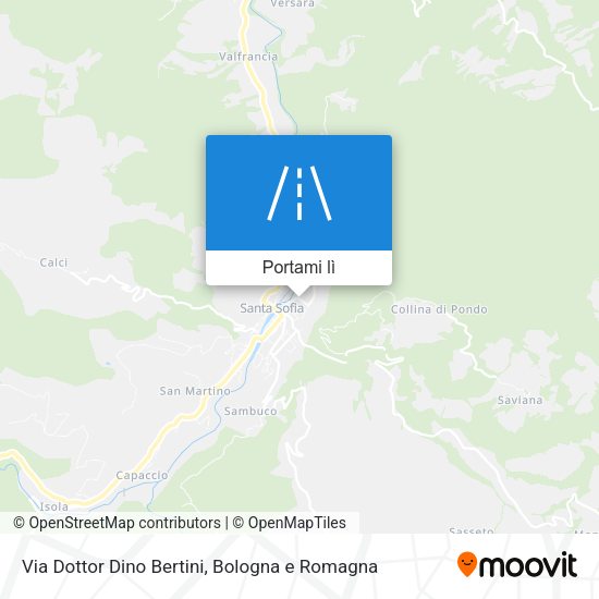 Mappa Via Dottor Dino Bertini