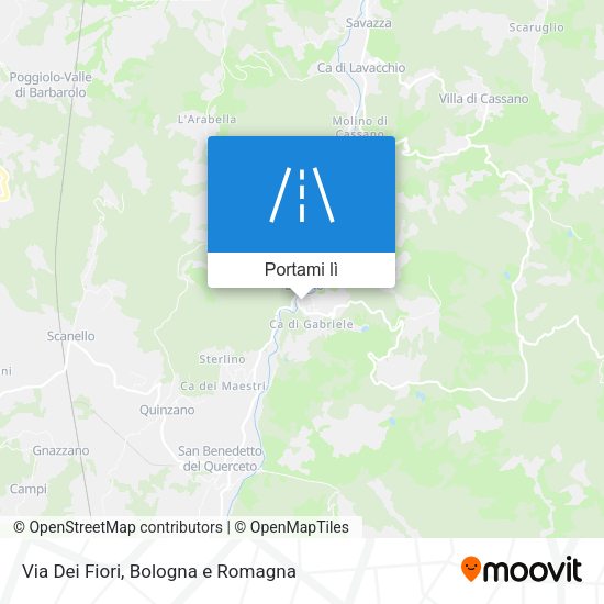 Mappa Via Dei Fiori