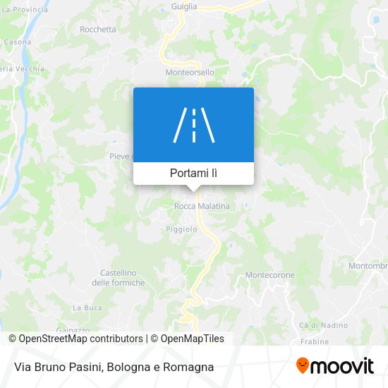 Mappa Via Bruno Pasini