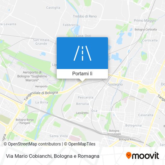 Mappa Via Mario Cobianchi