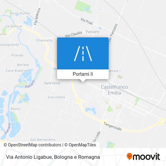 Mappa Via Antonio Ligabue