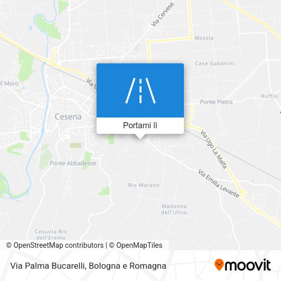 Mappa Via Palma Bucarelli
