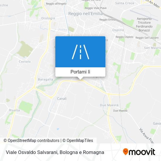 Mappa Viale Osvaldo Salvarani