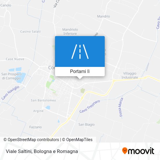Mappa Viale Saltini