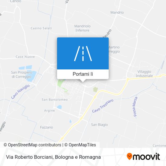 Mappa Via Roberto Borciani