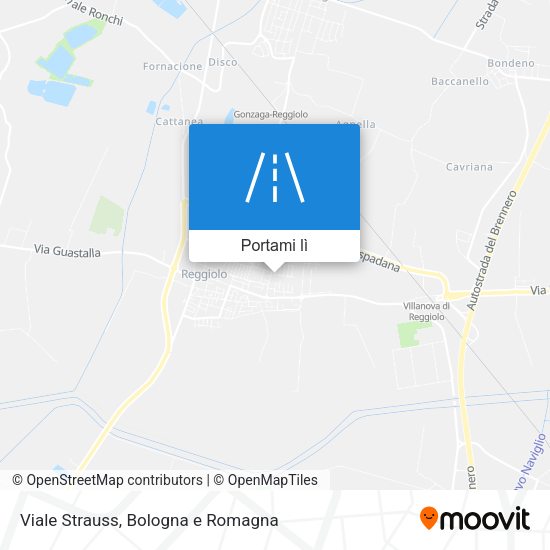 Mappa Viale Strauss
