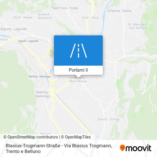 Mappa Blasius-Trogmann-Straße - Via Blasius Trogmann