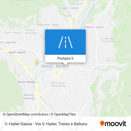 Mappa V.-Haller-Gasse - Via V. Haller