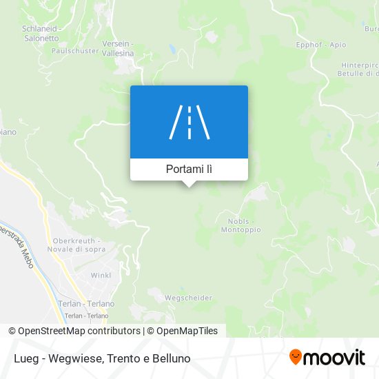Mappa Lueg - Wegwiese