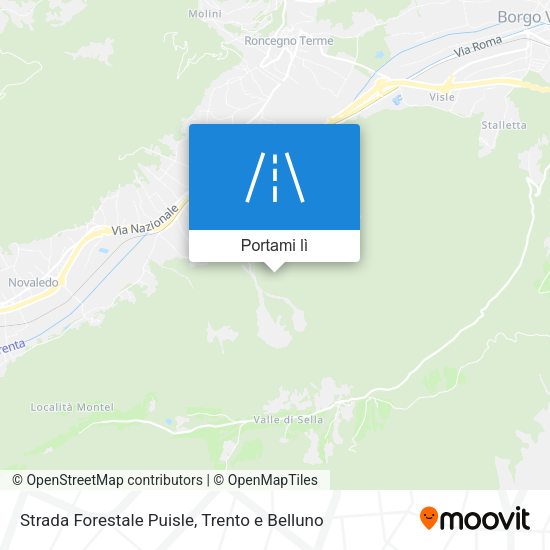 Mappa Strada Forestale Puisle