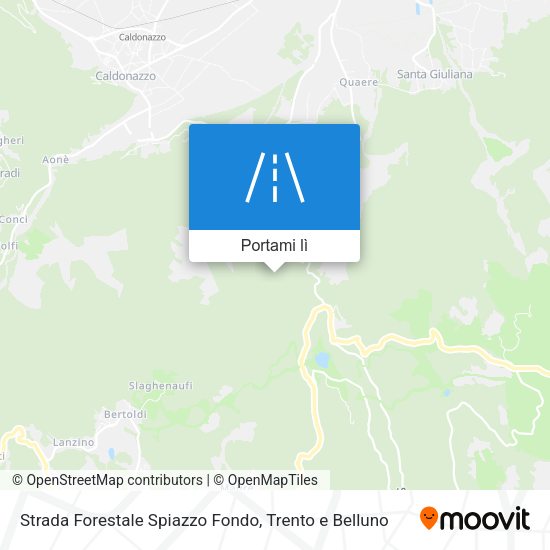 Mappa Strada Forestale Spiazzo Fondo