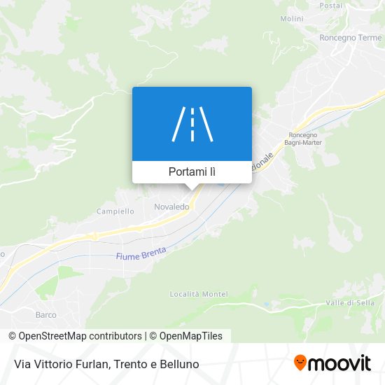 Mappa Via Vittorio Furlan