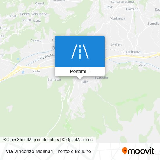 Mappa Via Vincenzo Molinari