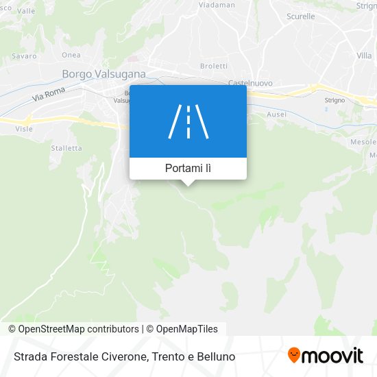 Mappa Strada Forestale Civerone