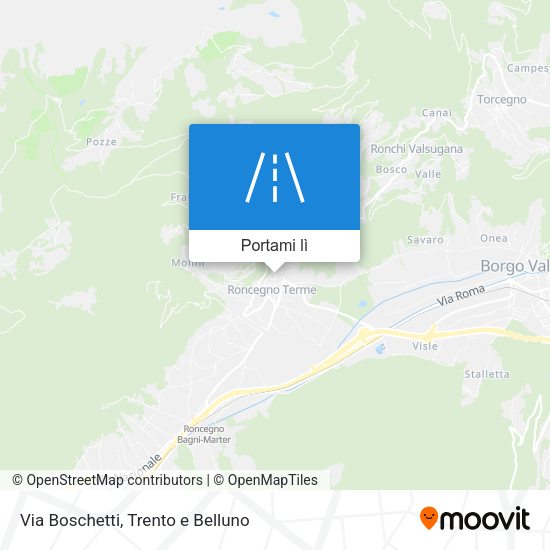 Mappa Via Boschetti
