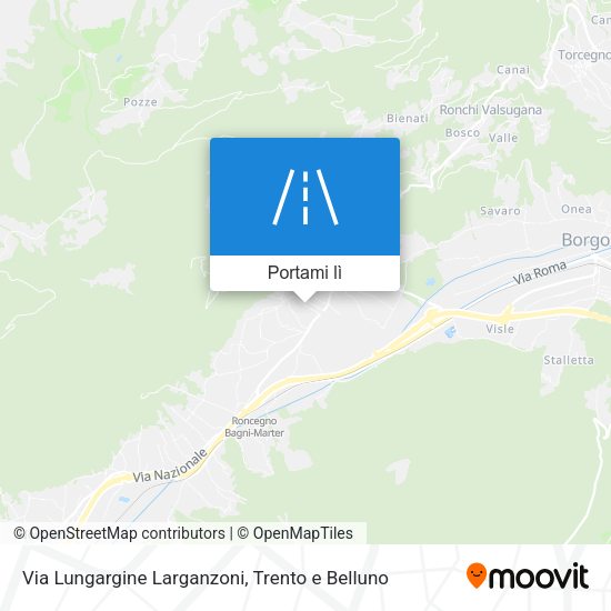 Mappa Via Lungargine Larganzoni