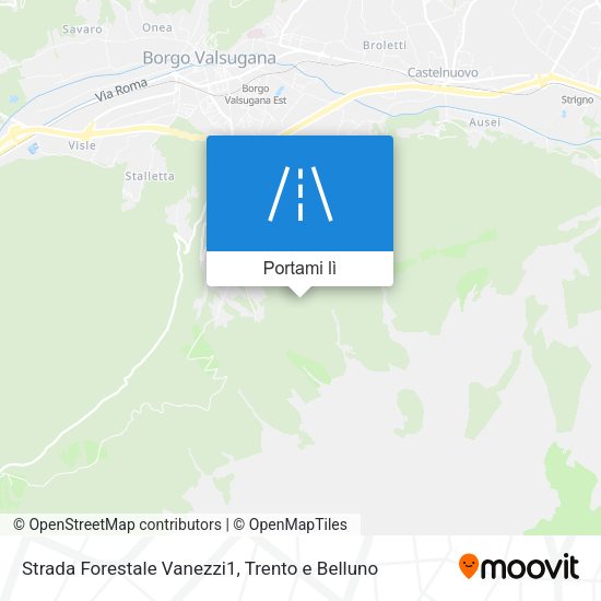 Mappa Strada Forestale Vanezzi1