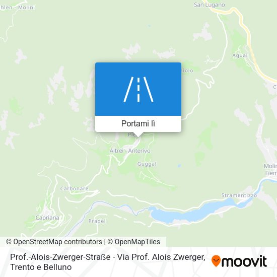 Mappa Prof.-Alois-Zwerger-Straße - Via Prof. Alois Zwerger