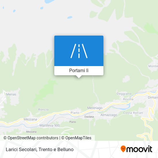 Mappa Larici Secolari