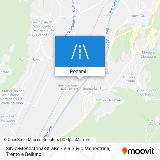 Mappa Silvio-Menestrina-Straße - Via Silvio Menestrina