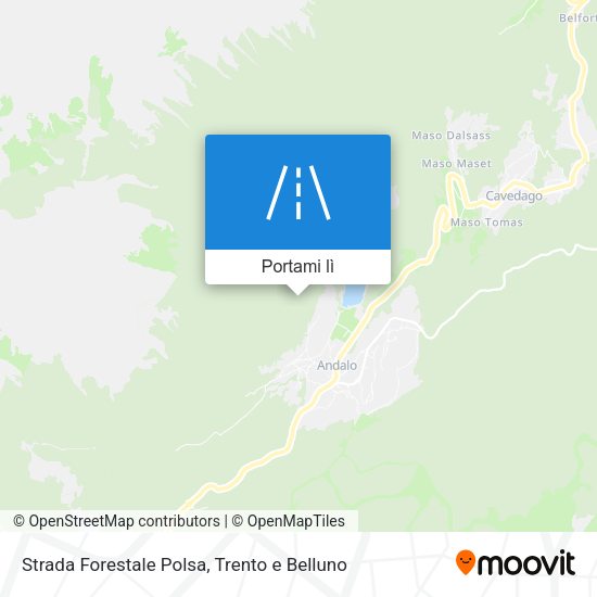 Mappa Strada Forestale Polsa