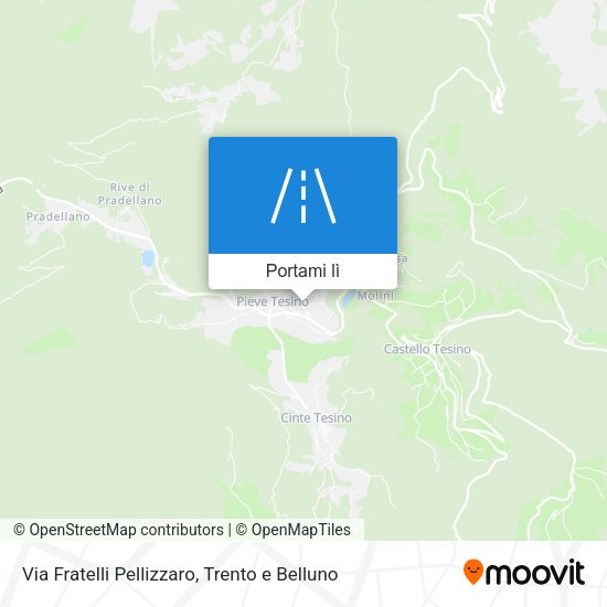 Mappa Via Fratelli Pellizzaro