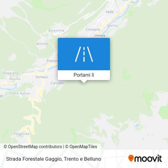 Mappa Strada Forestale Gaggio