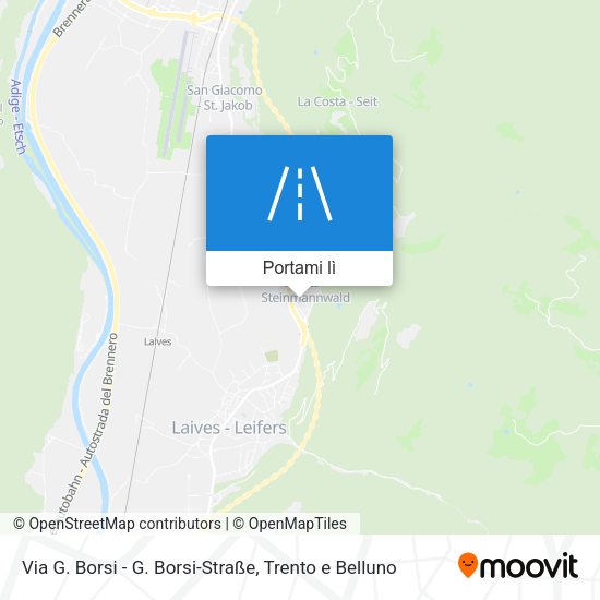Mappa Via G. Borsi - G. Borsi-Straße